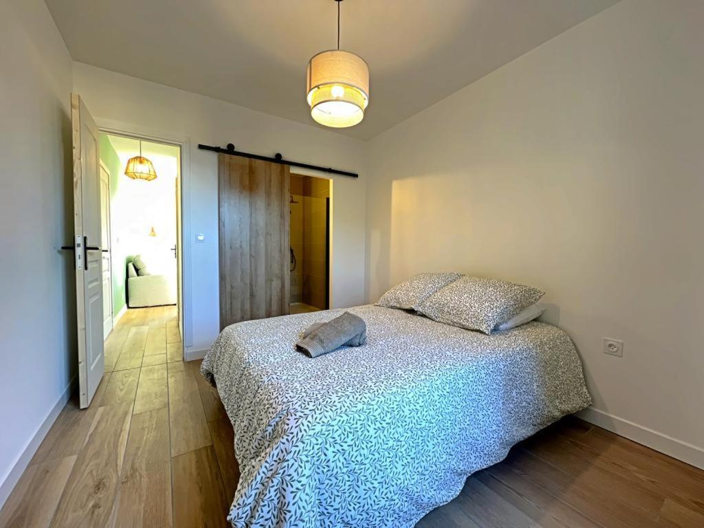 Appartement Coup De Coeur. St Etienne-Rochetaillee แซงต์-เอเตียน ภายนอก รูปภาพ