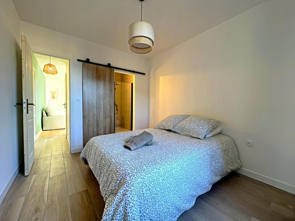 Appartement Coup De Coeur. St Etienne-Rochetaillee แซงต์-เอเตียน ภายนอก รูปภาพ