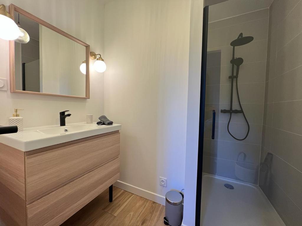 Appartement Coup De Coeur. St Etienne-Rochetaillee แซงต์-เอเตียน ภายนอก รูปภาพ