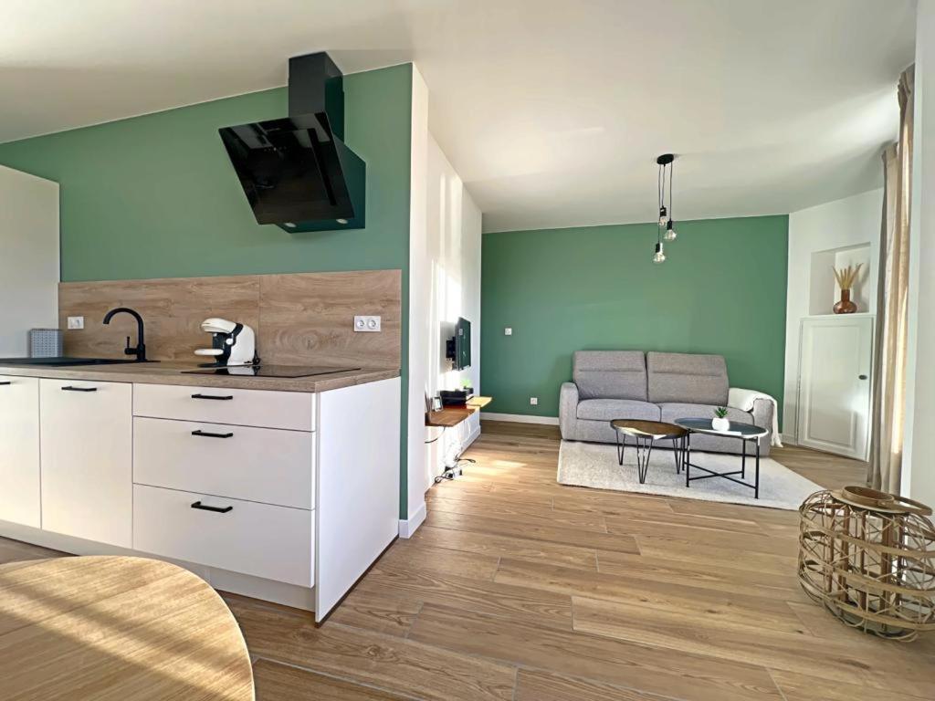 Appartement Coup De Coeur. St Etienne-Rochetaillee แซงต์-เอเตียน ภายนอก รูปภาพ