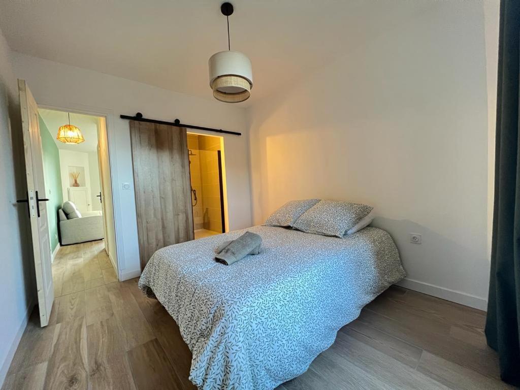Appartement Coup De Coeur. St Etienne-Rochetaillee แซงต์-เอเตียน ภายนอก รูปภาพ